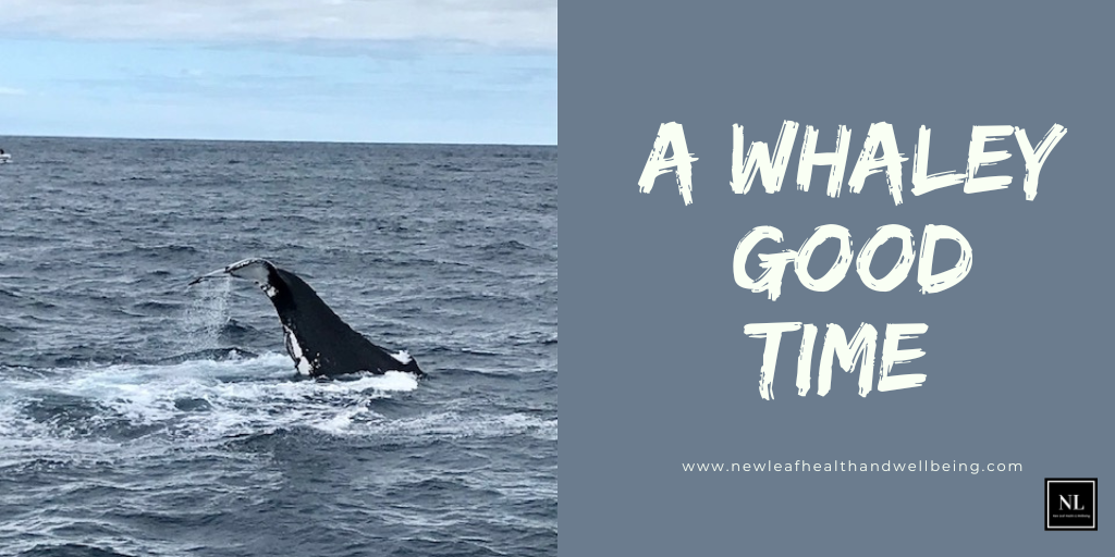 a whaley good time